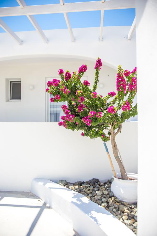 White Passion Villa Afantou Exteriör bild
